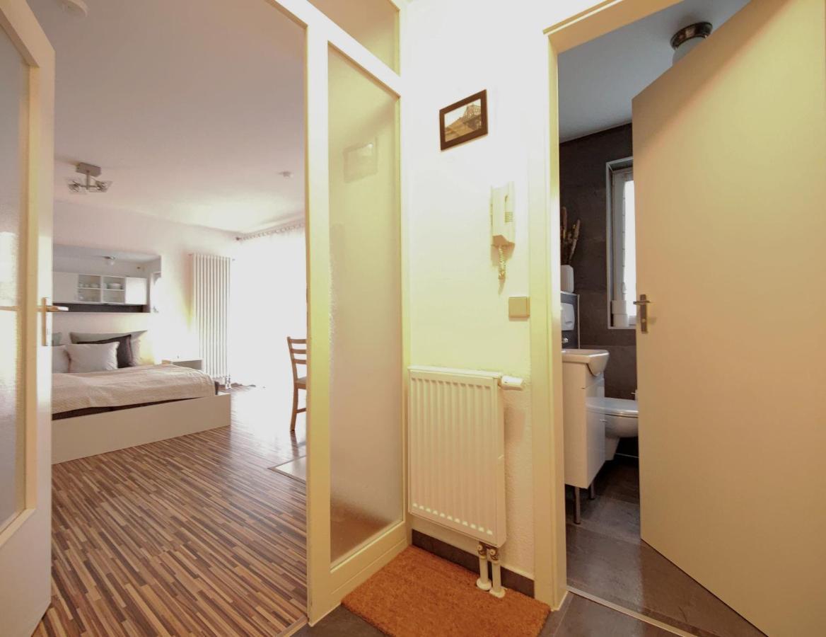 Gemuetliche Ferienwohnung In Ruhiger Lage ドレスデン エクステリア 写真