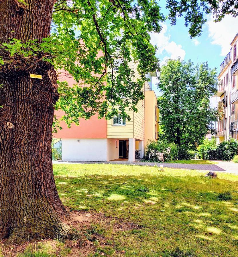 Gemuetliche Ferienwohnung In Ruhiger Lage ドレスデン エクステリア 写真